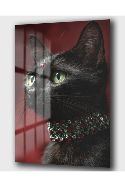 DEKA AKSESUAR ÖZEL TASARIM KEDİ CAM TABLO | SALON, OFİS VE YATAK ODASI İÇİN