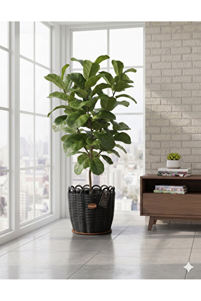 shop Raddancore El İşçiliği Siyah Vintage Saksılık 30 cm - Dekoratif El Yapım...
