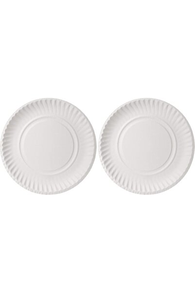 Hotpack Disposable Plates, 100 Count (Pack of 2)