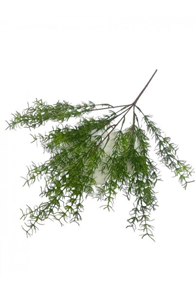 OEM Flori Artificiale Asparagus Din Silicon