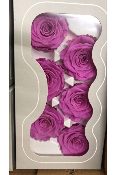 OEM Trandafiri criogenati, 6 bucati/cutie, diametru 6 cm Lila Inchis