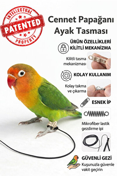 ozzipetshop Cennet-Sevda Papagani Ayak Bilek Tasmasi-Guvenli Gezdirme