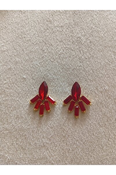 Pervin Ablacım Red Stone Handmade Steel Earrings