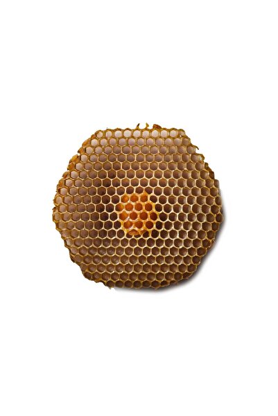 Herbstore.gr Κεραλοιφή Βασιλικός Πολτός (Royal Jelly) & Συνένζυμο Q10