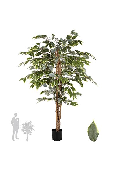 Roberto Rossi Copac artificial H120cm Ficus benjamina variegat cu 714 frunze ...