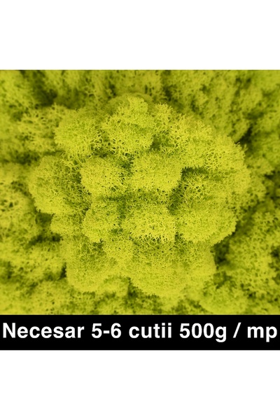 Roberto Rossi Licheni curatati si fara radacina conservati 500g NET, calitate...