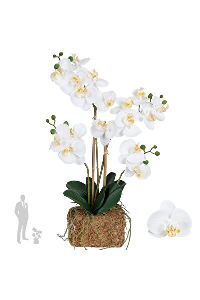 Roberto Rossi Orhidee artificiala alba cu aspect H55 cm cu 4 tulpini