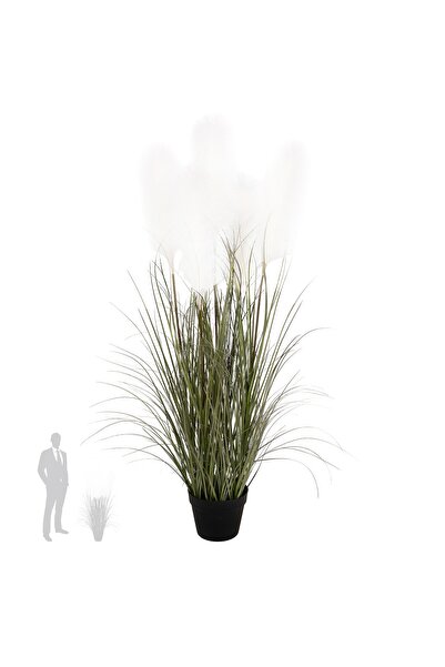 Roberto Rossi Iarba artificiala Onion 120 cm cu 5 flori naturale de pampas crem