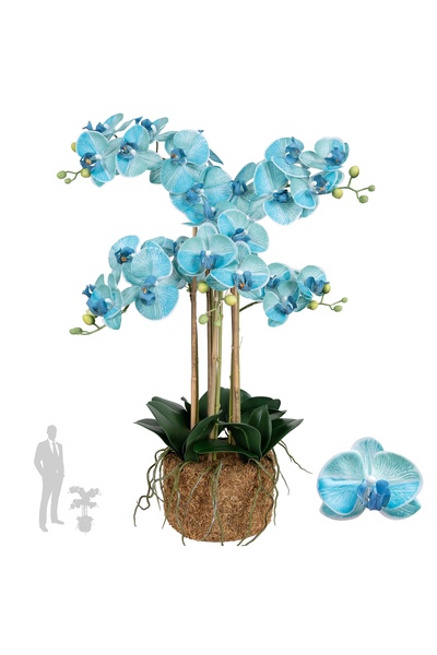 Roberto Rossi Orhidee artificiala albastru turquoise cu aspect H72 cm cu 6 tu...