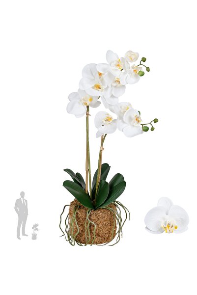 Roberto Rossi Orhidee artificiala alba cu aspect H53 cm cu 2 tulpini