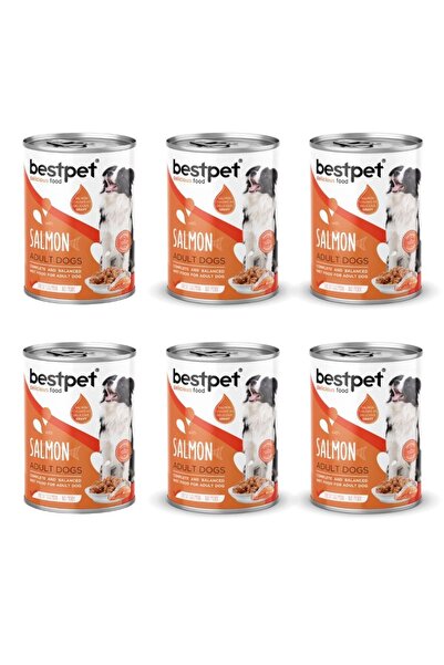 Bestpet Somon Balıklı Köpek Konservesi 400 gr 6'lı Paket