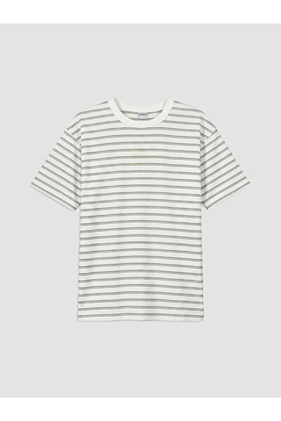 LC Waikiki Vizyon New Season Crew Neck Striped Boys' T-Shirt