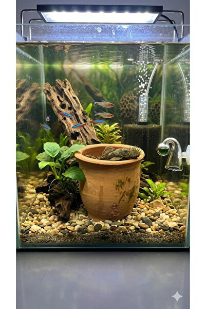 Ans VATOZ KÜPÜ 10 X 10 CM SİLİNDİR ŞEKLİNDE