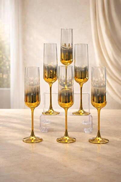 rova tr Nova Series Set of 6 Glass Titanium Coated Luxury Footed Glasses