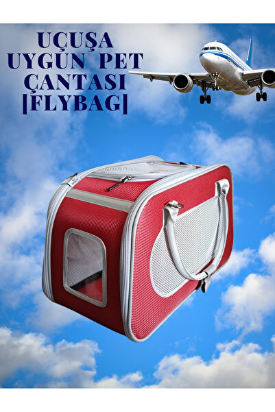 LAVİSTA PET uçuşa uygun pet çantası bella flybag