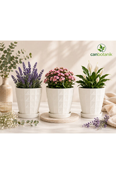 CANBOTANİK 3 adet kırık beyaz desenli dekoratif saksı 12 cm