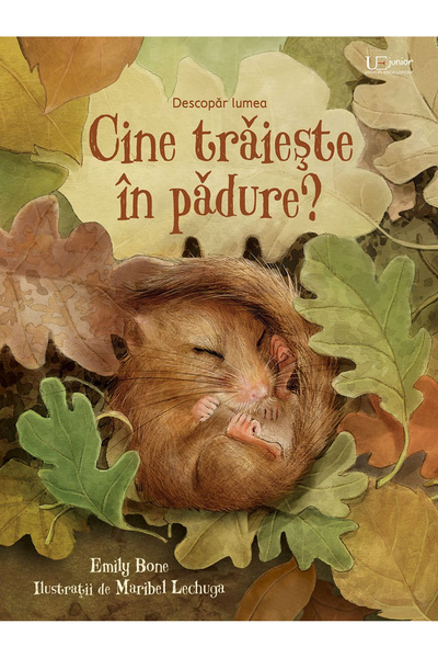 Editura Univers Enciclopedic Cine locuiește în pădure?, Usborne Books