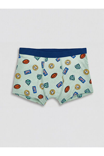 LC Waikiki Timeless Clothing & Timeless Choices Embroidered Boys' Boxer Shorts