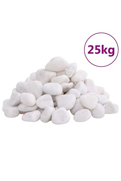 vidaxl Pietre de râu șlefuite, 25 kg, albe, 2-5 cm