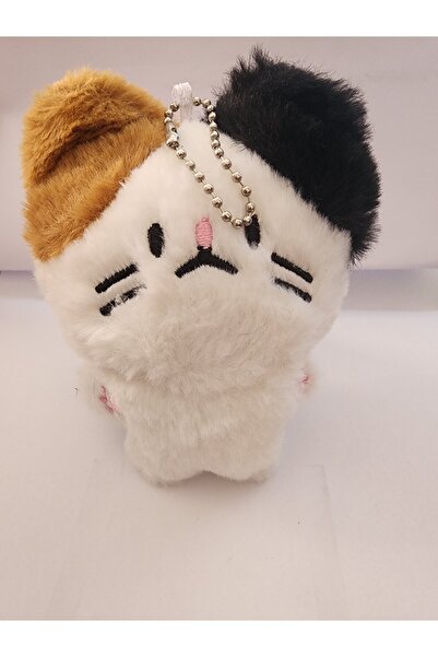 PEPİKON Kpop Enhypen Plush 10cm Keychain Toy with Surprise Gift