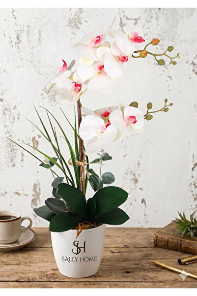 Sally Home Mika Saksıda 2li Yapay Islak Orkide Tanzimi Beyaz-BEYAZ 65 Cm