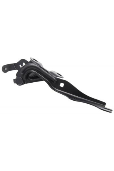 FEBEST Balama, capota motor 0599-GGRH