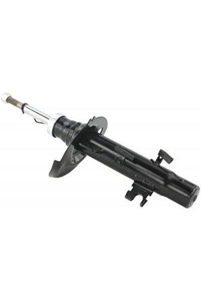 FEBEST amortizor 25110-010FL