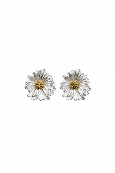 Charmist Solea Collection