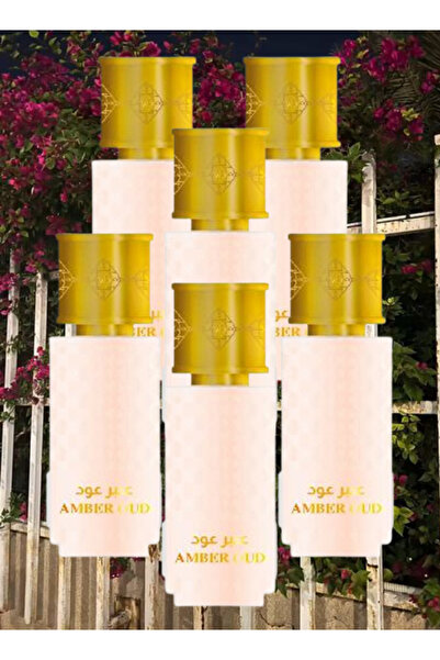 Mahabbah 6 Pieces Amber Oud Perfume 100ML