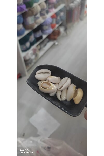 Generic Brand 50 Grams of Sea Shells Ranging from 20-22 mm
