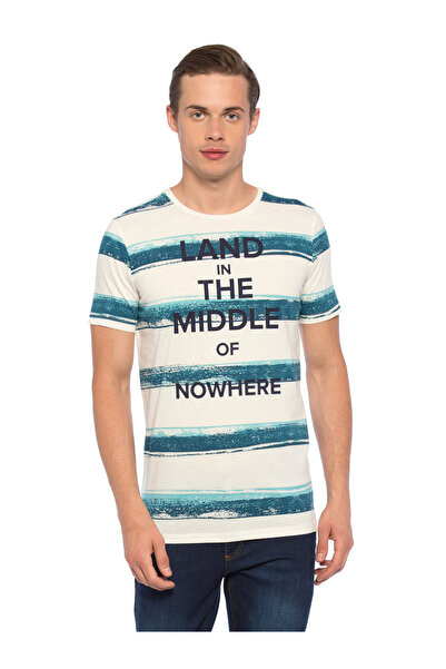 LC Waikiki Striped Printed Men's T-Shirt
