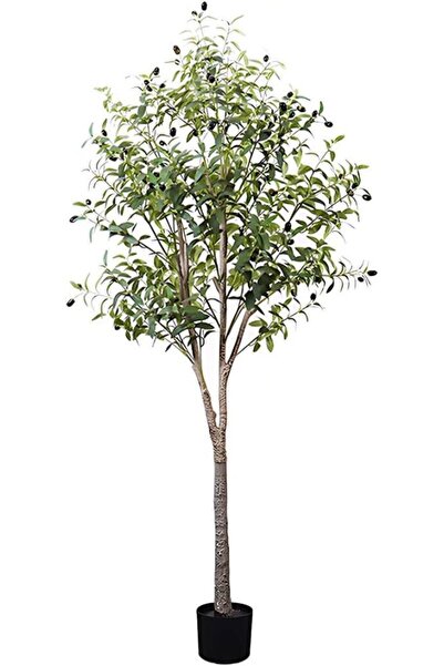 Empressco Yapay Zeytin Ağacı Lüx 180cm, Doğal Görünümlü Dekoratif Bitki