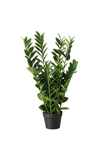 DecoDepot Plantă artificială Zamioculcas, în ghiveci, 16x76 cm