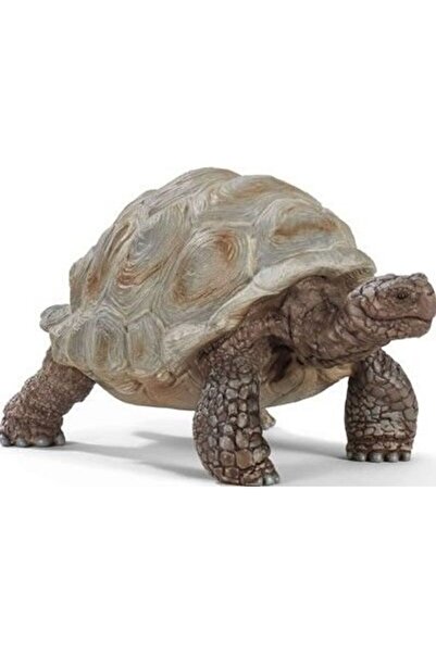 SCHLEICH Ζώα Χελώνα (SCH14824)