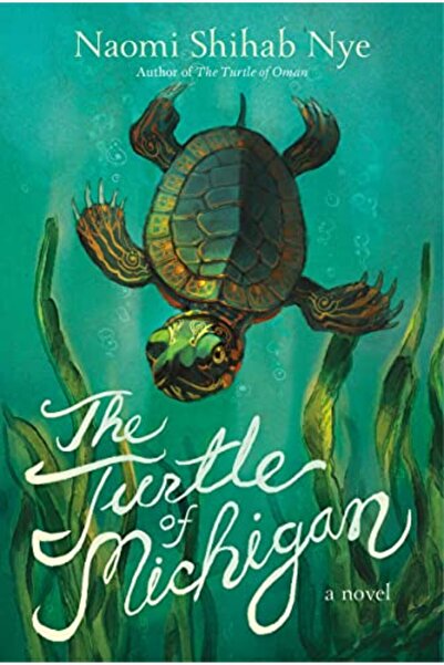 Harper Collins Turtle Of Michigan