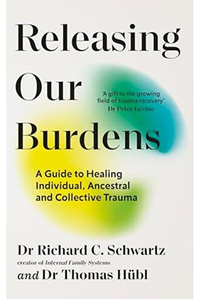 Vermilion Releasing Our Burdens A Guide To Healing Individual Ancestral And C...