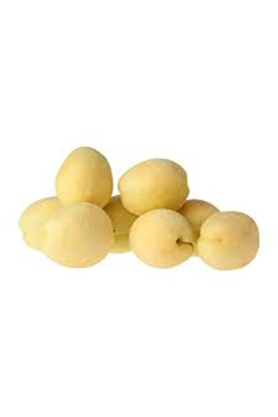 Sebze Meyve Dünyası Iğdır Kayısı (1 Kg)