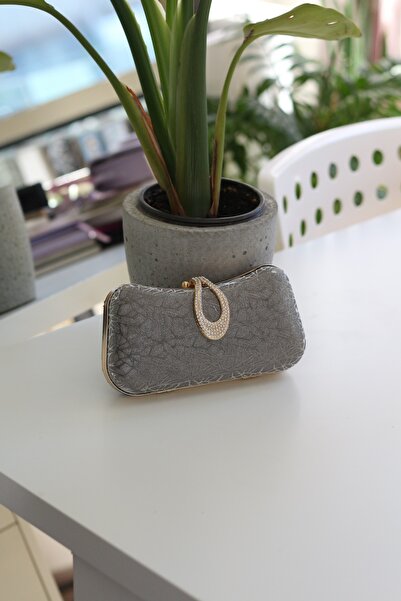 Moom Bag Women's Platinum Patterned Evening Dress Bag with Lock Detail and Ch...