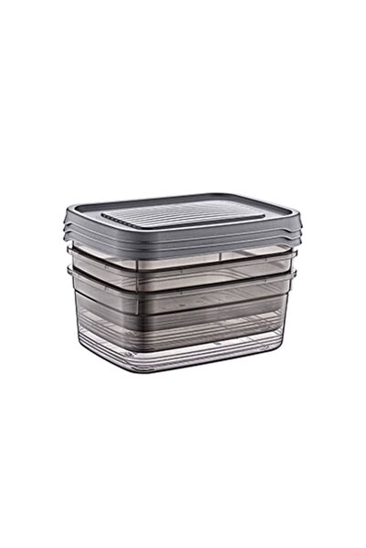 Hobby Festiva Rectangular Storage Container Set 3 X 0.275 L 1355