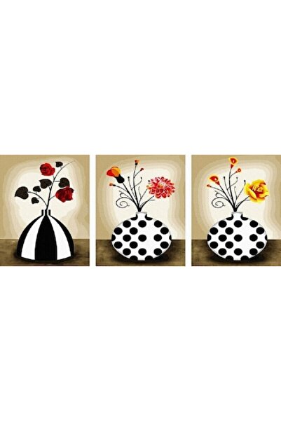 IPICASSO Set de 3 tablouri de pictat pe numere, cu ramă, Vaze cu flori, 50 x ...