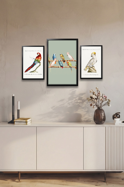 Erfa Concept Antre Hol İçin Vintage Estetik Kuşlu Üçlü Pano Siyah Ahşap Çerçeve Görünümlü Mdf Tablo