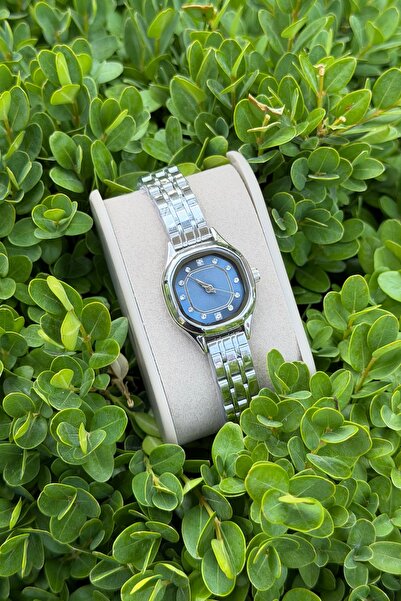 DARKBEAR Women's Luxury Modern Watch