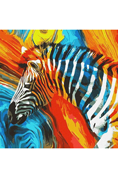 ideyka Pictură pe numere Zebră colorată 50x50cm