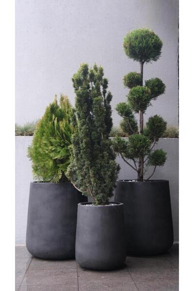 CK CONCRETE Beton saksı Siyah 38 çap 52h