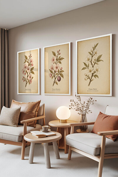 Zestia Set de 3 tablouri cu ramă albă, ilustrație botanică elegantă cu flori ...