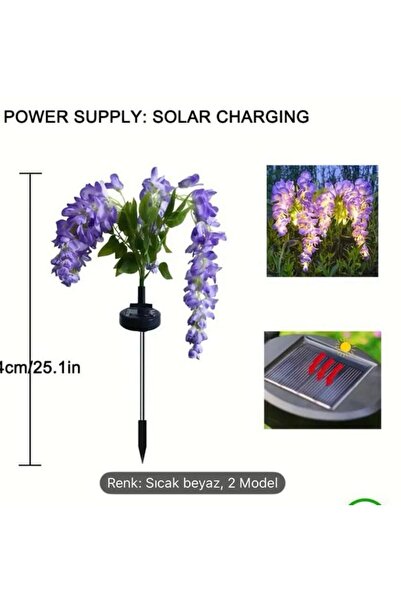 Zigver Bahce ısık güneş enerjili solar mor salkım wisteria