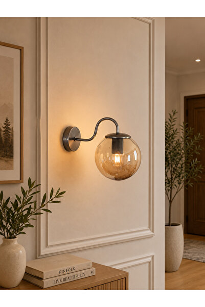 Ömür Avize Öykü Gray Case Globe Glass Wall Lamp