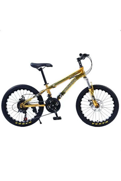 OEM Bicicleta CARAIMAN 20CR, varsta 6 - 12 ani, Roti 20", Frana pe Disc