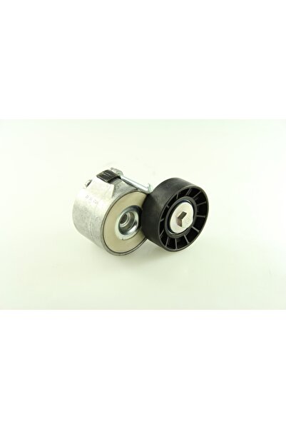 DAYCO Intinzator, Curea Accesorii Iveco Daily Iii Daily Iv Daily V Daily Vi C...