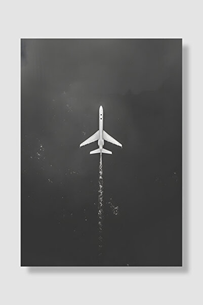 Luna Marissa Minimalistički poster Crno-beli avion Pogled iznad Fotografija Z...